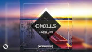 Suchos ft Brí Take Me Home [upl. by Enrobso]