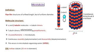 General Histology Lecture 2  Nonmembranous organelles  inclusion and matrix [upl. by Nickolai873]