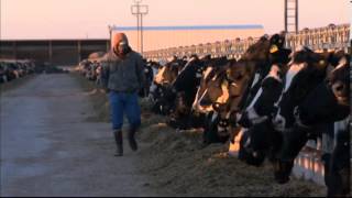 Dairy Safety Training Video Series Introduction to Part I [upl. by Renelle443]