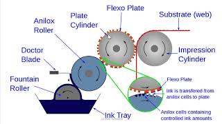 Flexography  Basic Introduction [upl. by Klinges62]