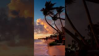 Punta Cana Dominican Republic dazzles with its beauty PuntaCana DominicanRepublic beachlife [upl. by Shaefer]