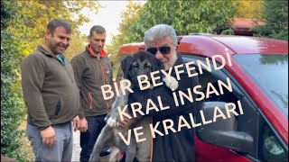 GÜNAYDIN Çiftliği İsmet beye KANGALTÜRK Krallarımızı teslim ettik kangal [upl. by Anwahsed]