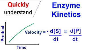 Enzyme kinetics [upl. by Asirrac54]