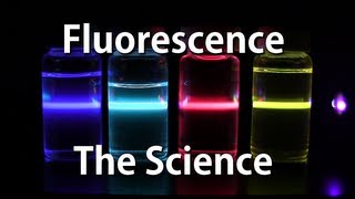 How Fluorescence Works  The Science [upl. by Christis715]