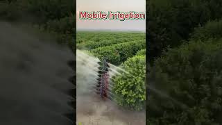 Most Efficient Sprinkers Systems shorts irrigation farming [upl. by Salohcin]