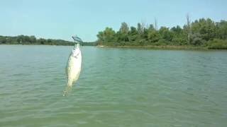 Trolling motor on a pedal boat [upl. by Krishna]