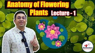 Anatomy of Flowering Plants l Lecture 1 l Biology l NEET [upl. by Sabra70]