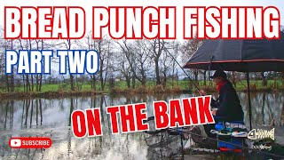 BRILLIANT BREAD PUNCH  How to use bread punch and liquidised bread for fishing [upl. by Atterual939]