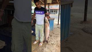 Rohu Fish Nice Cutting Skills In Village [upl. by Wernsman639]