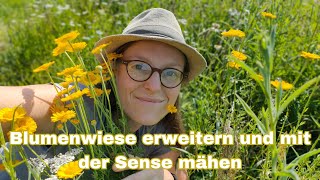 Blumenwiese erweitern  Sense mähen  Magerwiese  Mahd  Für die Insekten 🐝 [upl. by Boyes582]