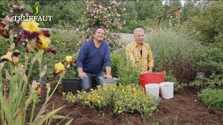 Calendrier du jardinier juin que faire au jardin ou sur la terrasse   Truffaut [upl. by Rosanne]