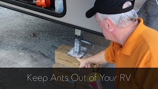 Keep Ants Out of Your RV [upl. by Emyam]