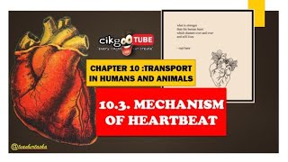 BIOLOGY KSSM FORM 4 103 MECHANISM OF HEARTBEAT [upl. by Nuahsad]