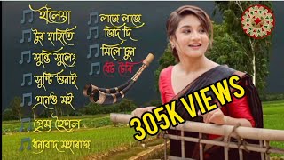 Assamese New hit songs 2023 collections top 11 best songs [upl. by Thurstan]