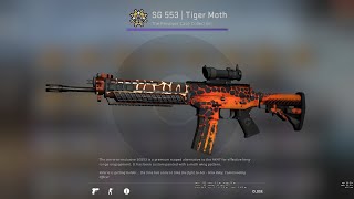 CSGO  SG 553  Tiger Moth WellWorn Skin Showcase and Gameplay [upl. by Jari]