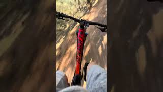 Lake eildon MTB park  Sticks and stones downhill section [upl. by Pitzer]