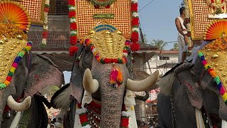 meenad vinayakan vs Chaithram achu vs nandhilath Gopalakrishnan  cheeramkulangara Pooram 2024 [upl. by Nilrah]