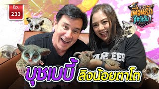 Bush baby บุชเบบี้ ลิงน้อยตาโต I เพื่อนรักสัตว์เอ๊ย Ep233 [upl. by Settera626]