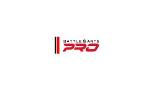 What is Battle Arts Academy [upl. by Eachern622]