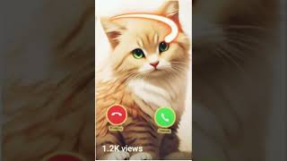 cute cat ringtone me new ringtone sone❤️🎶❤️🎶2024 [upl. by Iden]