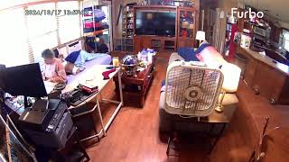 Time Lapse Dog Video October 17 2024 [upl. by Ynahteb]