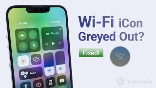 iPhone WiFi iConToggle Greyed Out Here Is How to Troubleshoot [upl. by Nnaycnan]