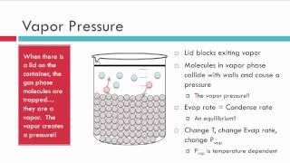 Evaporation Vapor Pressure and Boiling [upl. by Lucretia]