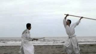 2010 6月 新体道棒術 Shintaido Bojutsu [upl. by Yelsnya]