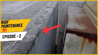 Want to Avoid Costly Roof Repairs Watch This Now [upl. by Mcfadden509]