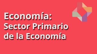 Sector Primario de la Economía [upl. by Kabob392]