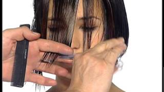 abc  Cutting Hair The Sassoon Way Promo [upl. by Gerianna]