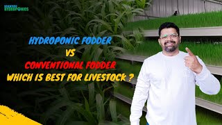 Hydroponic Fodder vs Conventional Fodder Which is Better for Livestock  Ashwin Sawant [upl. by Ynavoeg]