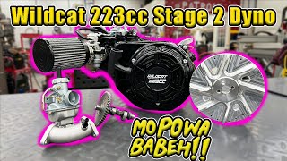 Wildcat 223cc Stage 2 Build Dyno amp Run [upl. by Rolando]