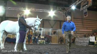 Martin Clunes and Monty Roberts discuss Horsepower at BETA International Horse Show [upl. by Aloin832]