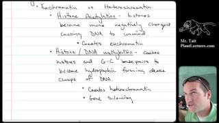 AP Biology  Genetics  Lesson 13 Eukaryotic Gene Regulation Euchromatin vs Heterochromatin [upl. by Nethsa]