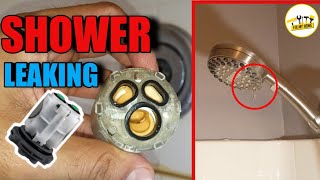 How to fix a leaky shower head step by step  American standard [upl. by Shari]