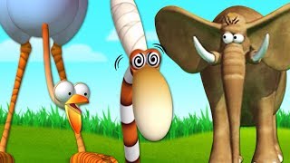 Gazoon The African Night  Wild Animals Funny Cartoons for Kids  Gazoon Official [upl. by Ibbed]