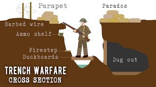 Trench Systems Cross Section [upl. by Wycoff233]