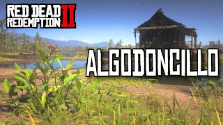 Ubicación Algodoncillo  Red Dead Redemption 2 [upl. by Nimajneb]