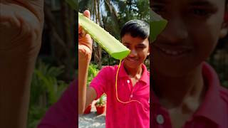 Lemon  Aloe Vera Mojito Tasty And Healthy Drink Recipe [upl. by Jamill]