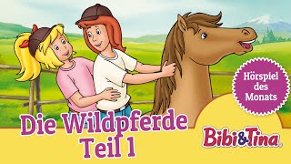 Bibi und Tina Die Wildpferde  Teil 1 Folge 13  Hörspiel des Monats das ZWEITPLATZIERTE Mai [upl. by Shirleen]