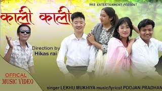 Kali KaliNew Nepali Song 2024Lekhu MukhiyaGaurab Salina  Mukesh Shrijana [upl. by Anais]