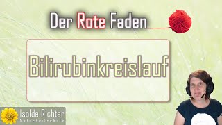 Bilirubinkreislauf – Der rote Faden mit Andrea [upl. by Hanoy639]