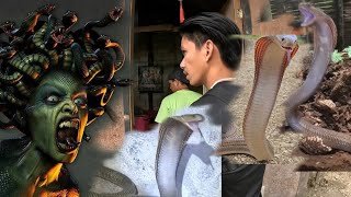 TATLONG COBRA SA BAHAY NI MEDUSA [upl. by Joye]