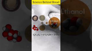 8 The Science Behind Why Bread Rises BreadScience FoodChemistry BakingBasics YeastFermentation [upl. by Yelsnya]