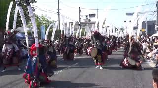 江刺甚句まつり 江刺鹿踊 百鹿大群舞 岩手県奥州市 20240504 [upl. by Austina]