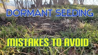 How amp When To Dormant Seed A Lawn Or Patch Of Bare Soil [upl. by Stamata]