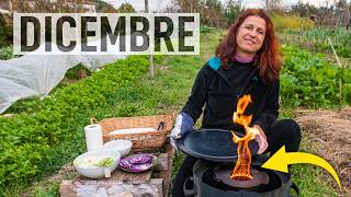 ORTO a DICEMBRE Lavori semine e Barbecue a PIROLISI🔥 [upl. by Aeriel]