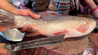 Excellent Cutting Skills  Big Rohu Fish Cutting By Expert Fish Cutter [upl. by Ku]