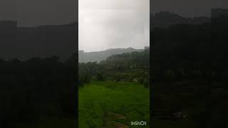 Greenery scenery trending viralshort nature naturelover like subscribe [upl. by Adahsar55]